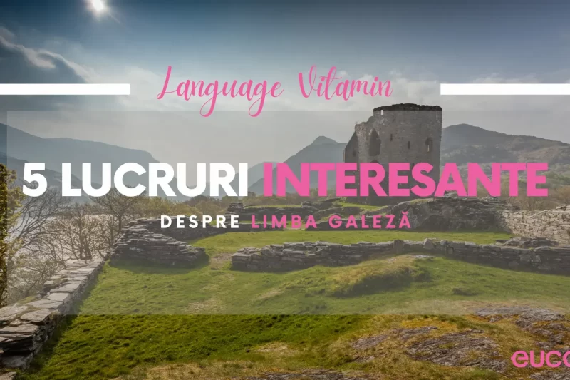 5 lucruri interesante despre limba galeză - eucom.ro