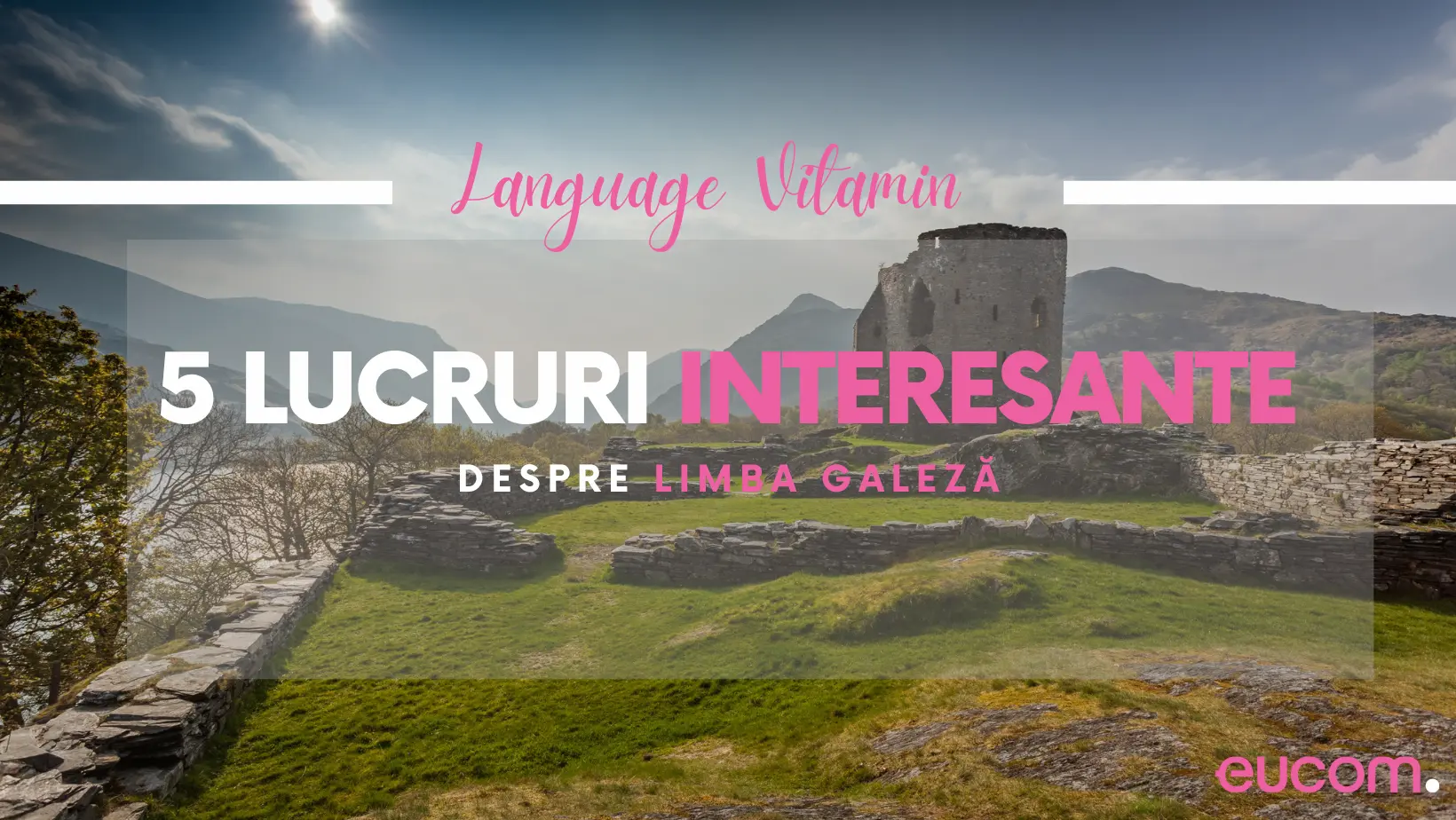 5 lucruri interesante despre limba galeză - eucom.ro