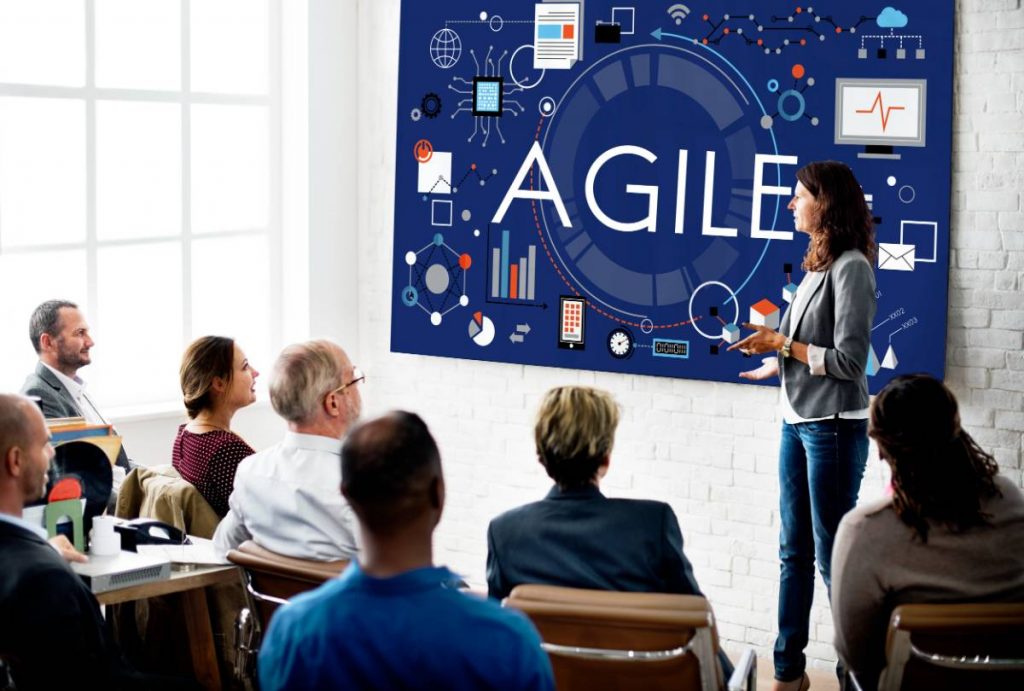 3. Dezvoltare profesionala - meeting cu tema Agile, prezentare